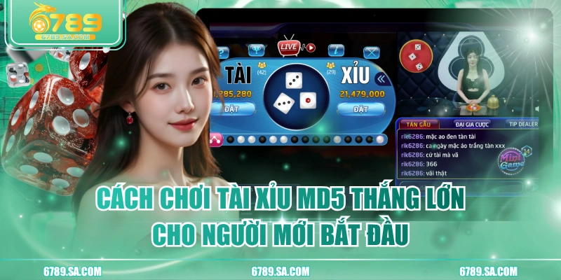 Cách Chơi Tài Xỉu MD5 Thắng Lớn Cho Người Mới Bắt Đầu