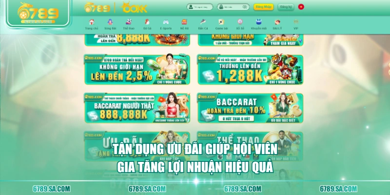 Tận dụng ưu đãi giúp hội viên gia tăng lợi nhuận hiệu quả