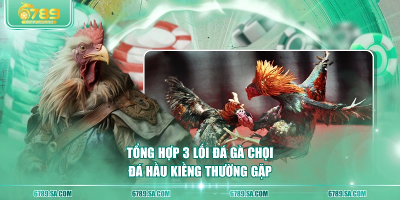 Tổng hợp 3 lối đá gà chọi đá hầu kiềng thường gặp