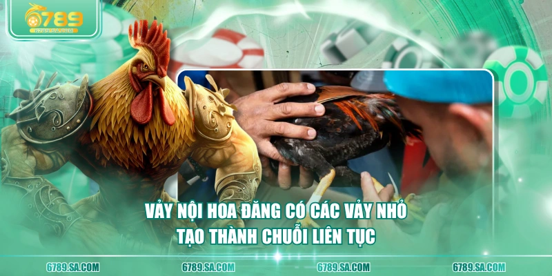 Vảy nội hoa đăng có các vảy nhỏ tạo thành chuỗi liên tục