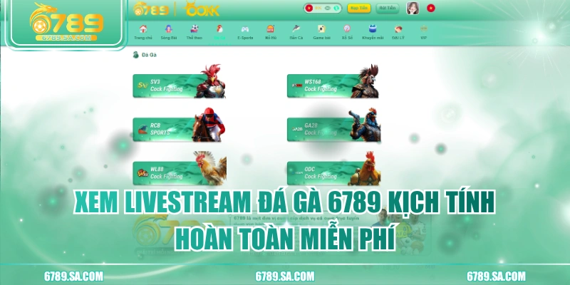 Xem Livestream Đá Gà 6789 Kịch Tính, Hoàn Toàn Miễn Phí